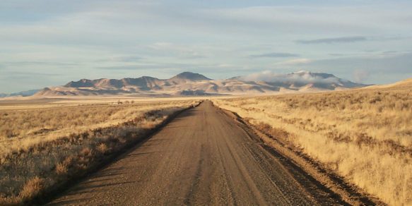 Danger In The Desert