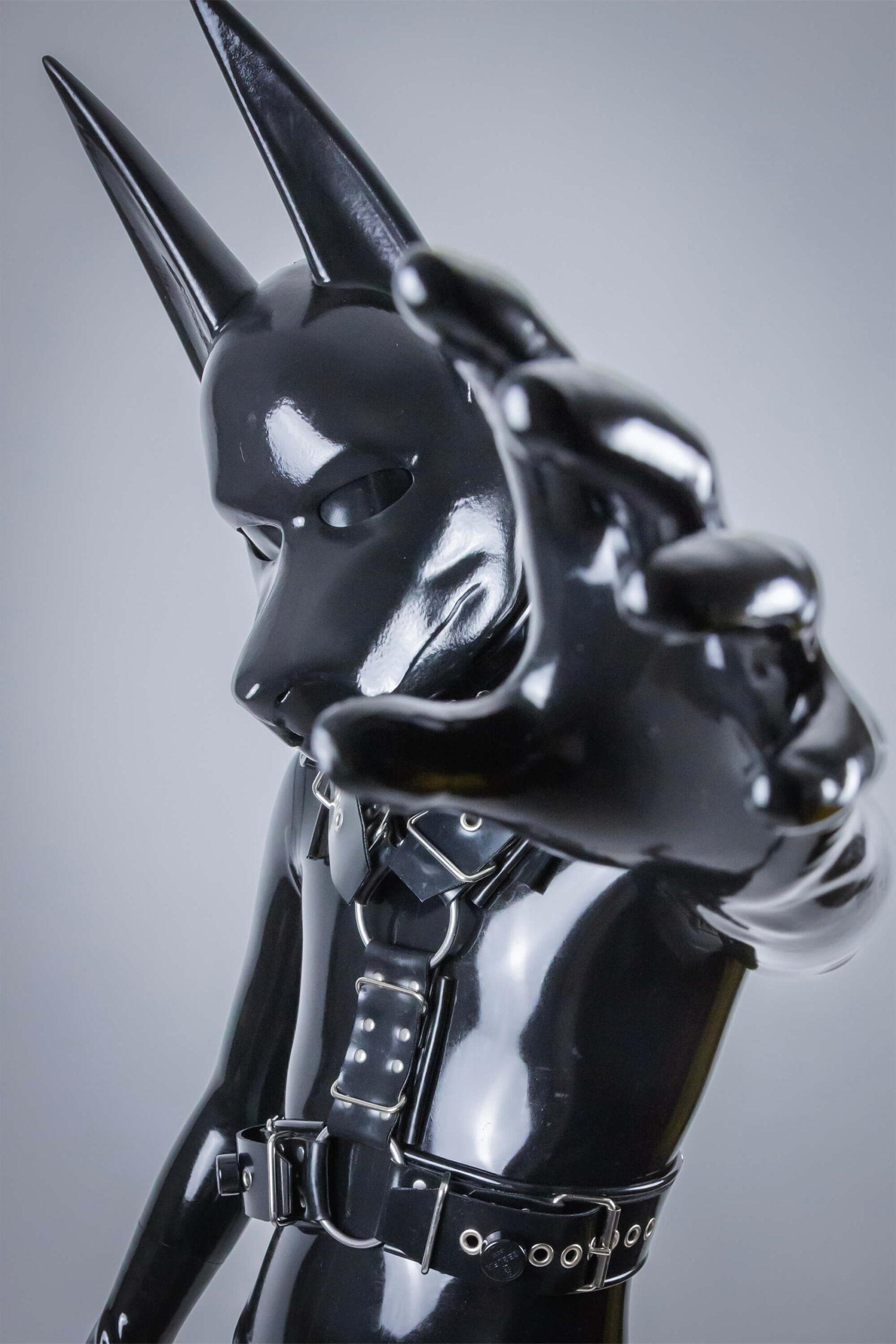 Gallery Update: December 2025